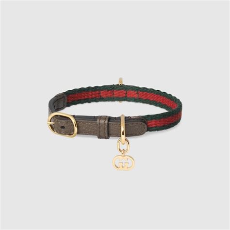 cheap gucci cat collar|Gucci dog collar backpack.